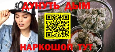 прущие грибы Кингисепп