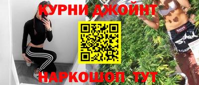 прущие грибы Кингисепп